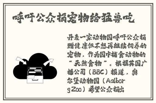 黑牛影视传媒有限公司官网